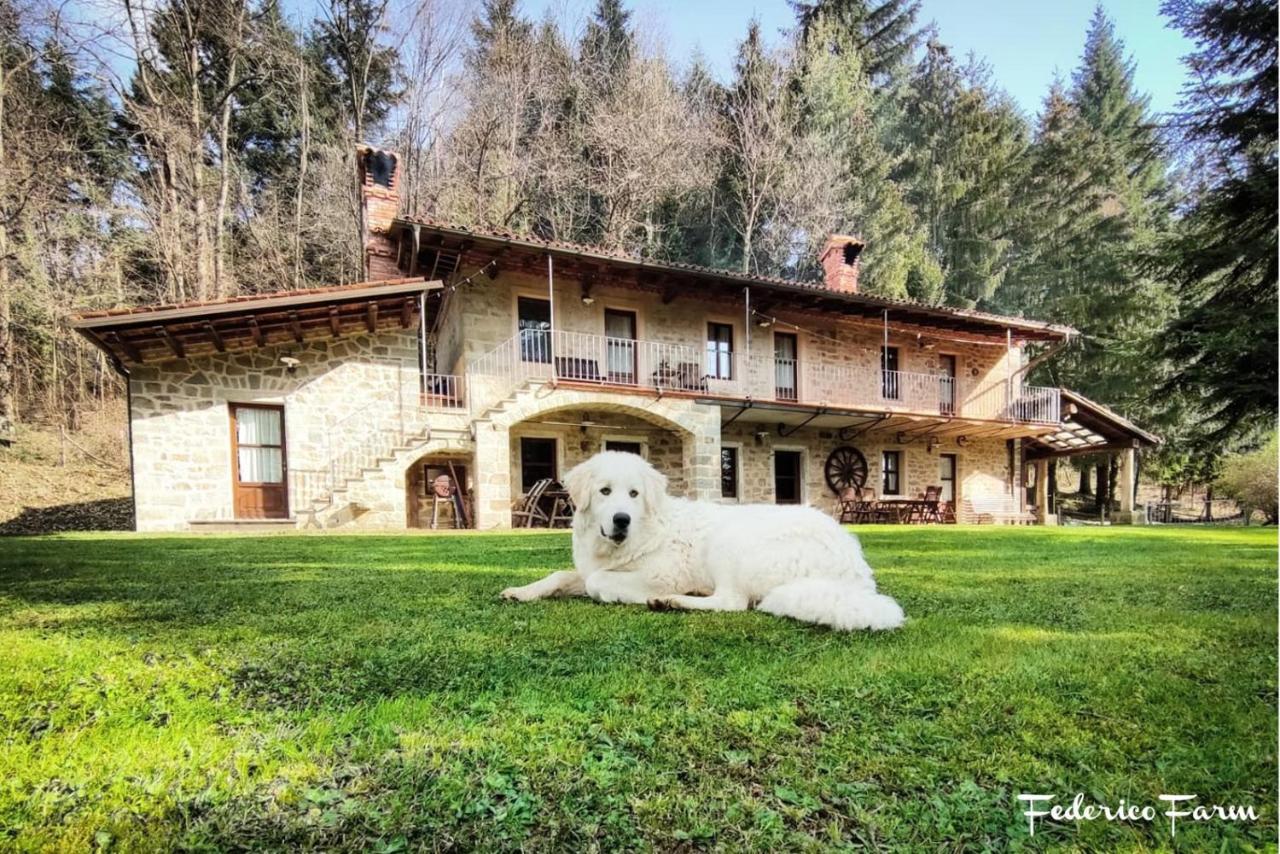 Villa La Casa Del Sarto - Federicofarm Pontremoli Exterior foto
