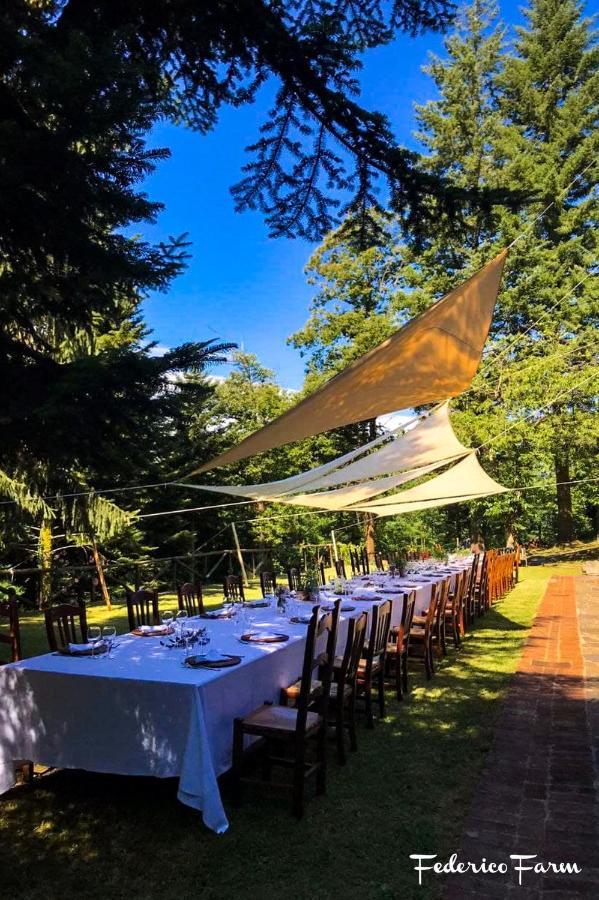 Villa La Casa Del Sarto - Federicofarm Pontremoli Exterior foto